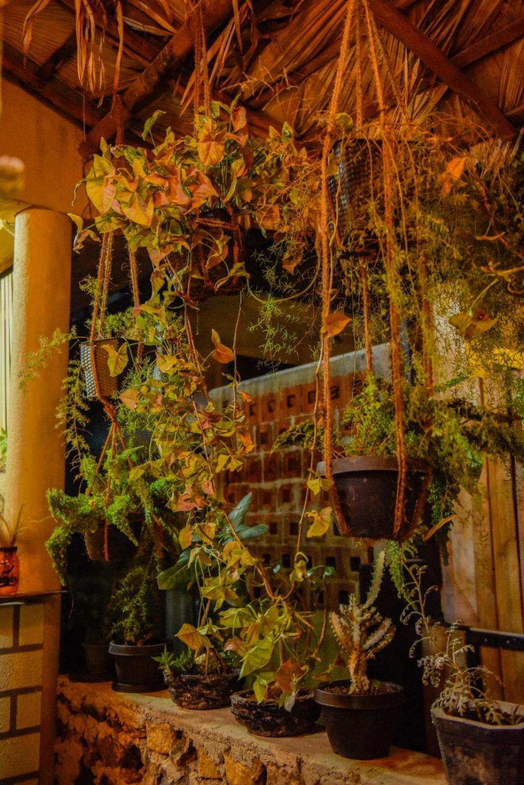 فندق Ella Brown House المظهر الخارجي الصورة