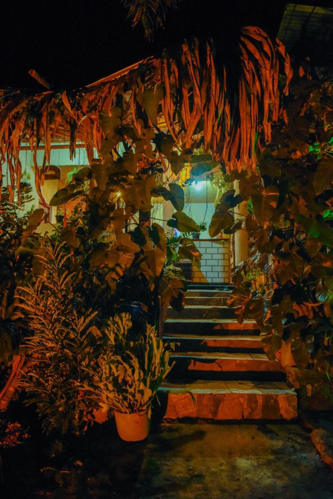 فندق Ella Brown House المظهر الخارجي الصورة